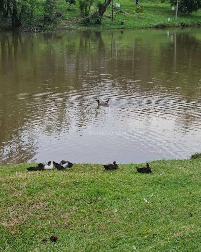 Loteamento e Condomínio à venda, 1000M2 - Foto 2