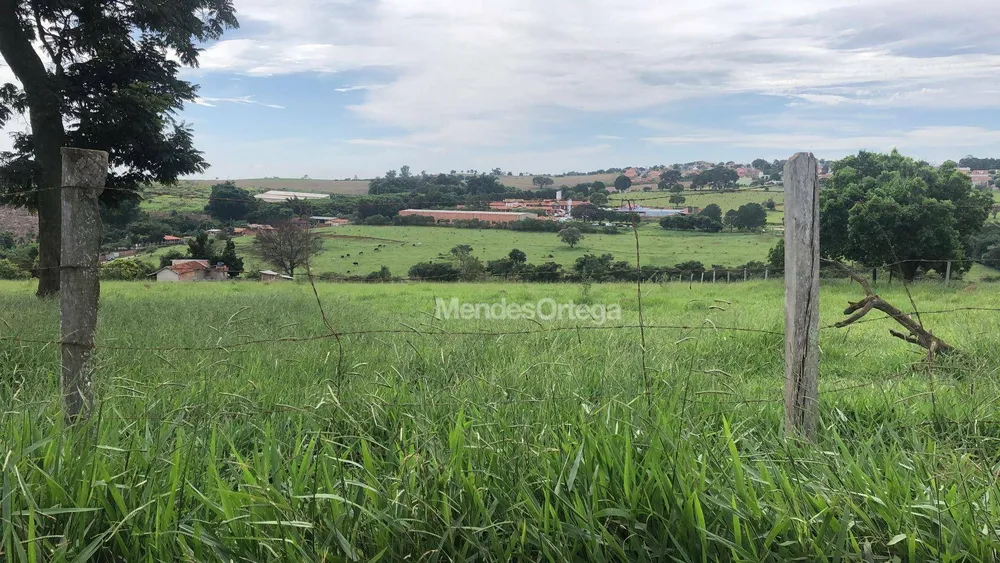 Terreno, 4 hectares - Foto 2