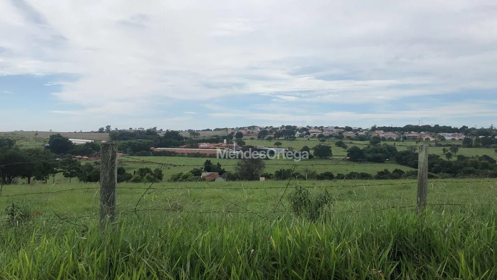 Terreno, 4 hectares - Foto 1