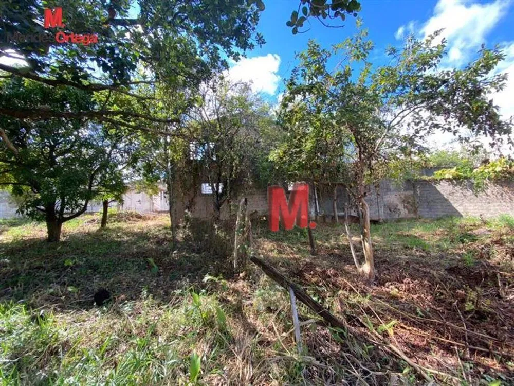 Terreno, 2686 m² - Foto 6