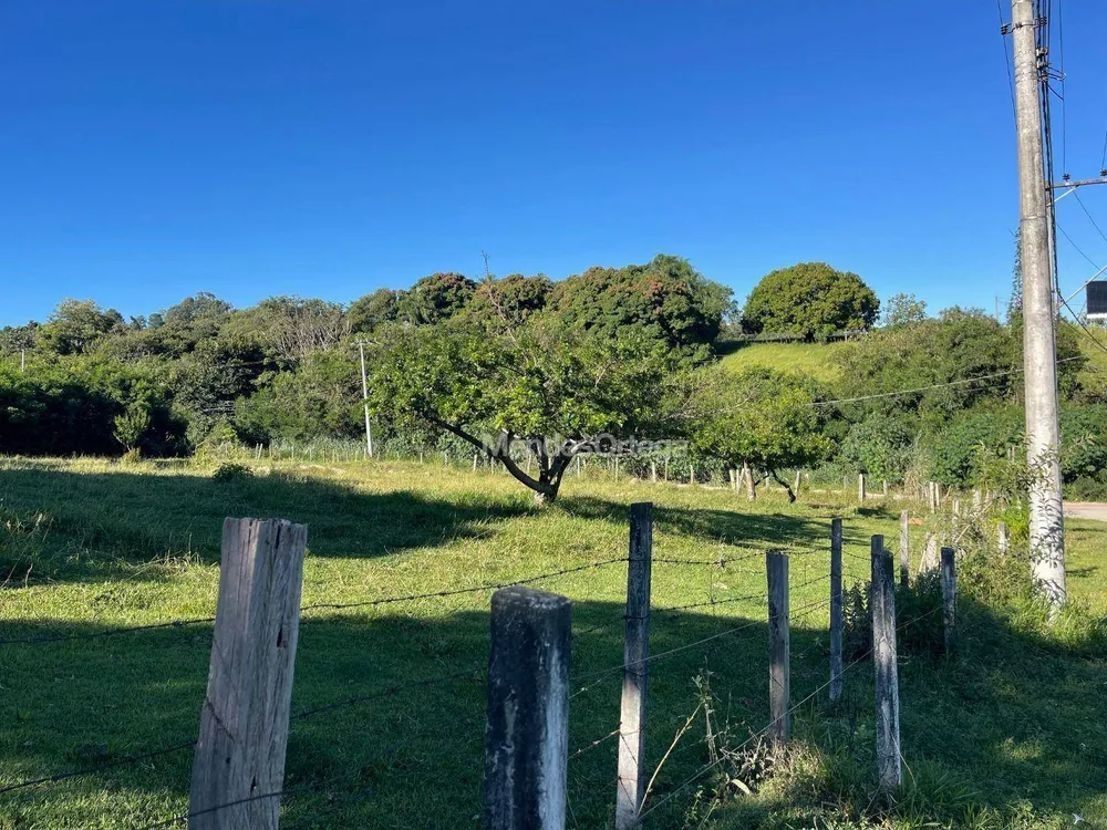 Terreno, 8 hectares - Foto 4