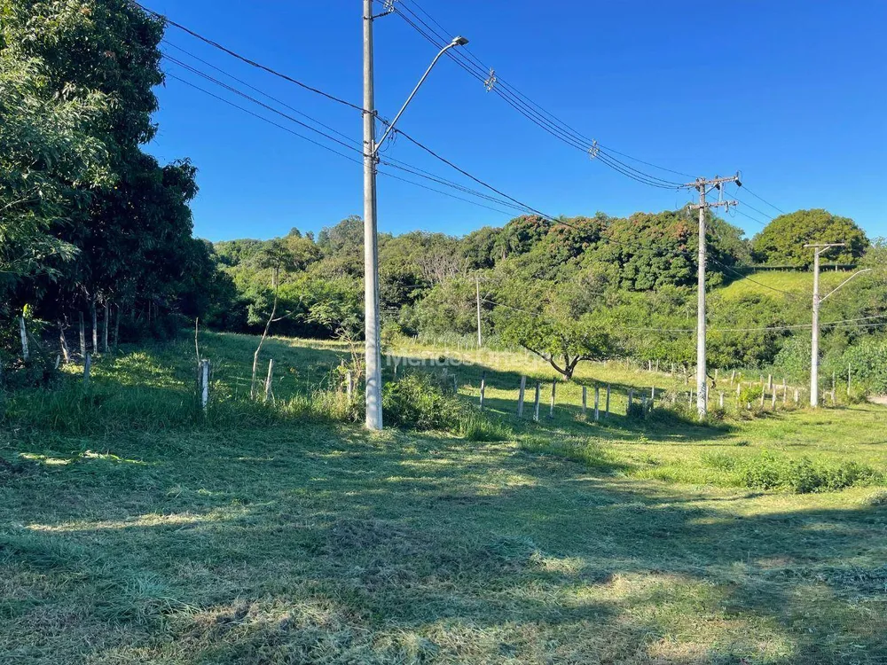 Terreno, 8 hectares - Foto 3