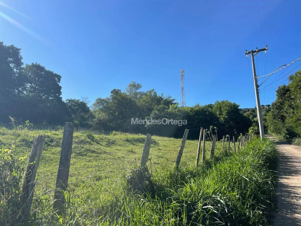 Terreno, 8 hectares - Foto 7