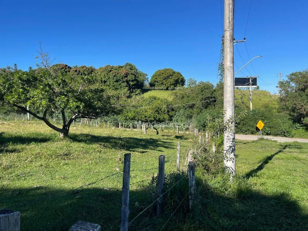 Terreno, 8 hectares - Foto 2