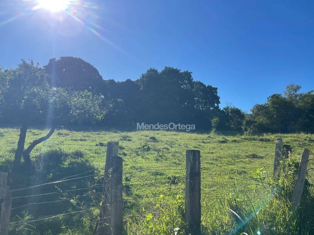 Terreno, 8 hectares - Foto 6