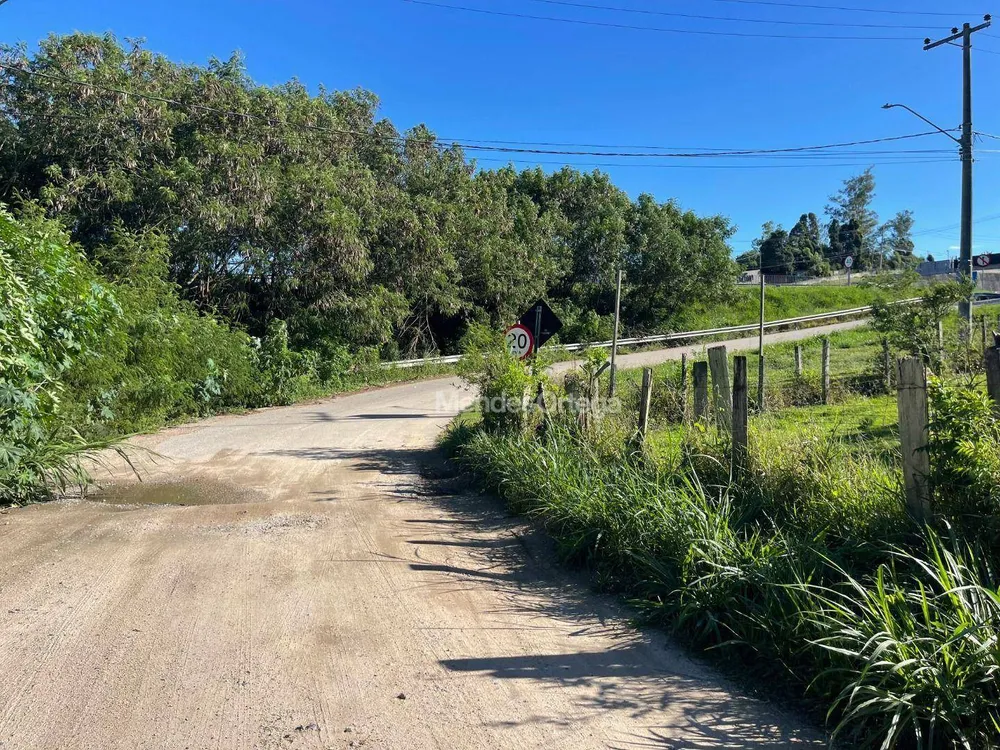 Terreno, 8 hectares - Foto 8