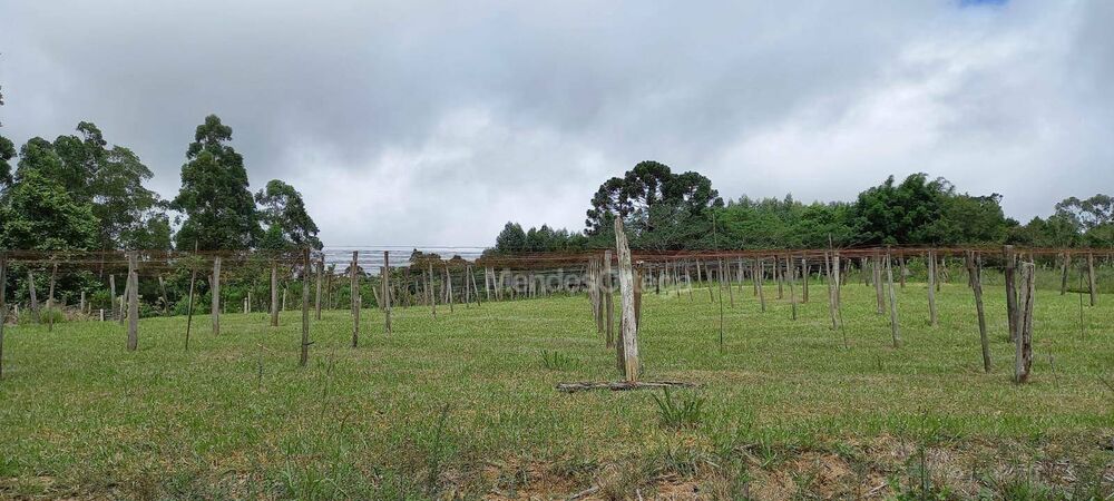 Chácara, 3 quartos, 2 hectares - Foto 2