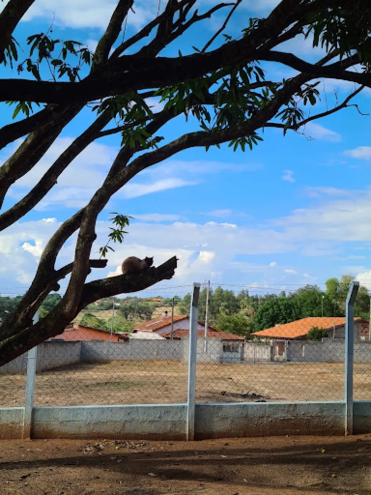 Terreno, 1500 m² - Foto 3
