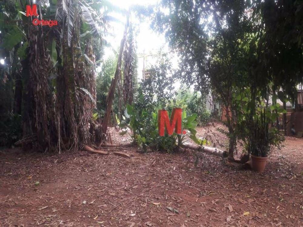 Terreno, 1000 m² - Foto 4