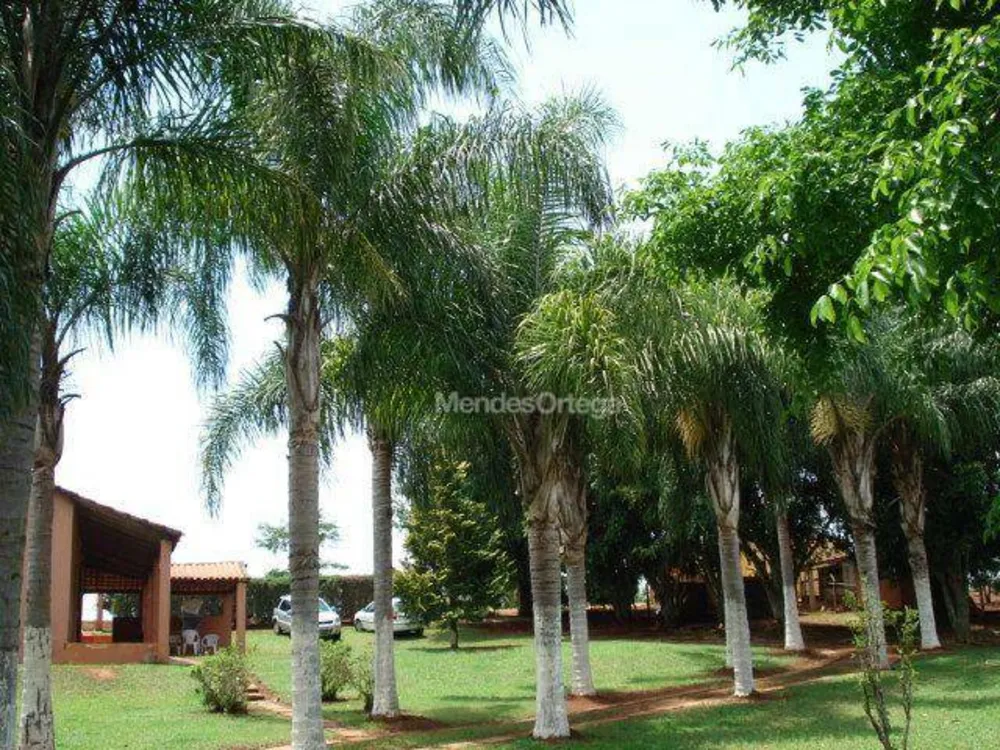 Chácara, 1 quarto, 9000 m² - Foto 2