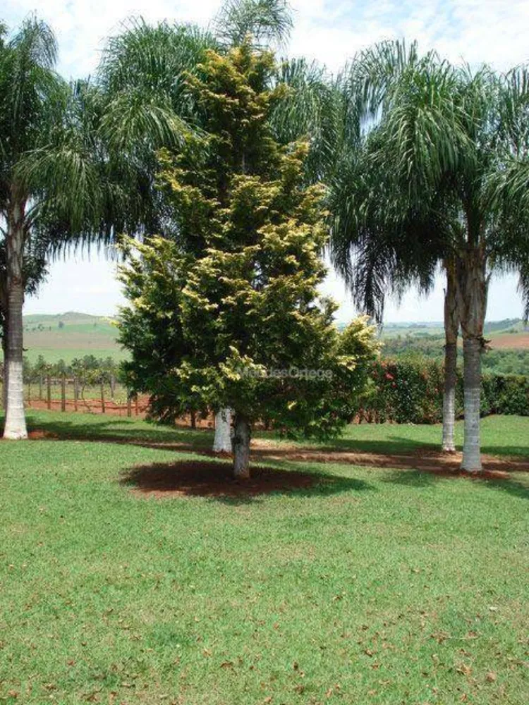 Chácara, 1 quarto, 9000 m² - Foto 8