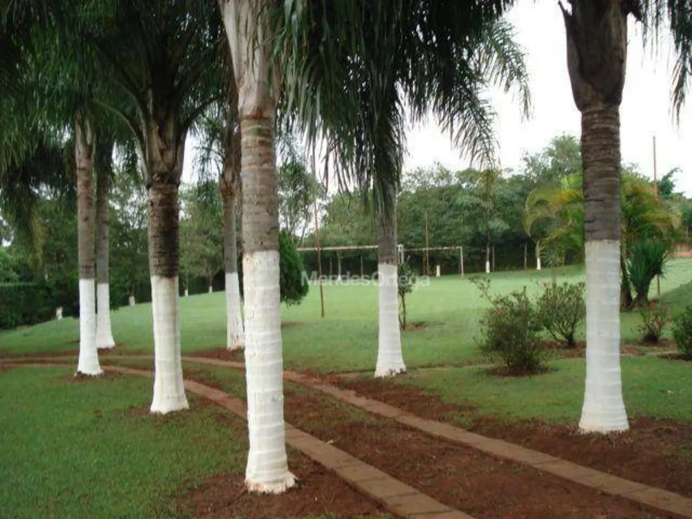 Chácara, 1 quarto, 9000 m² - Foto 9