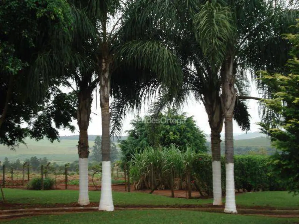 Chácara, 1 quarto, 9000 m² - Foto 11