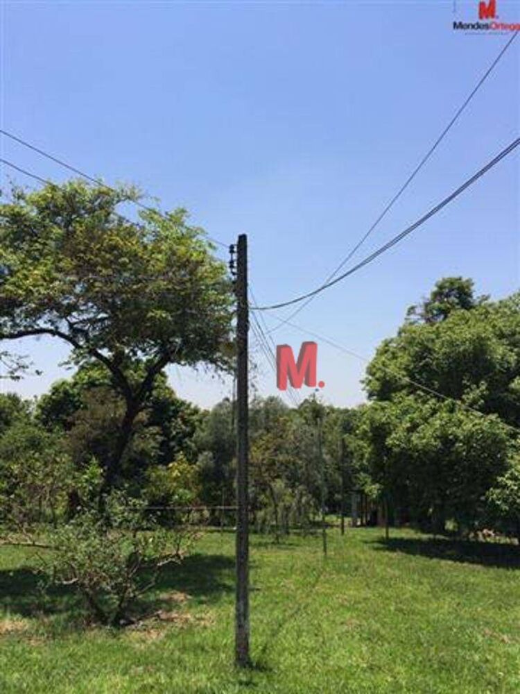 Terreno, 3 hectares - Foto 10