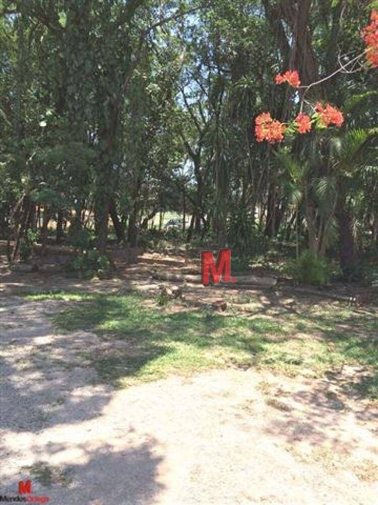 Terreno, 3 hectares - Foto 6
