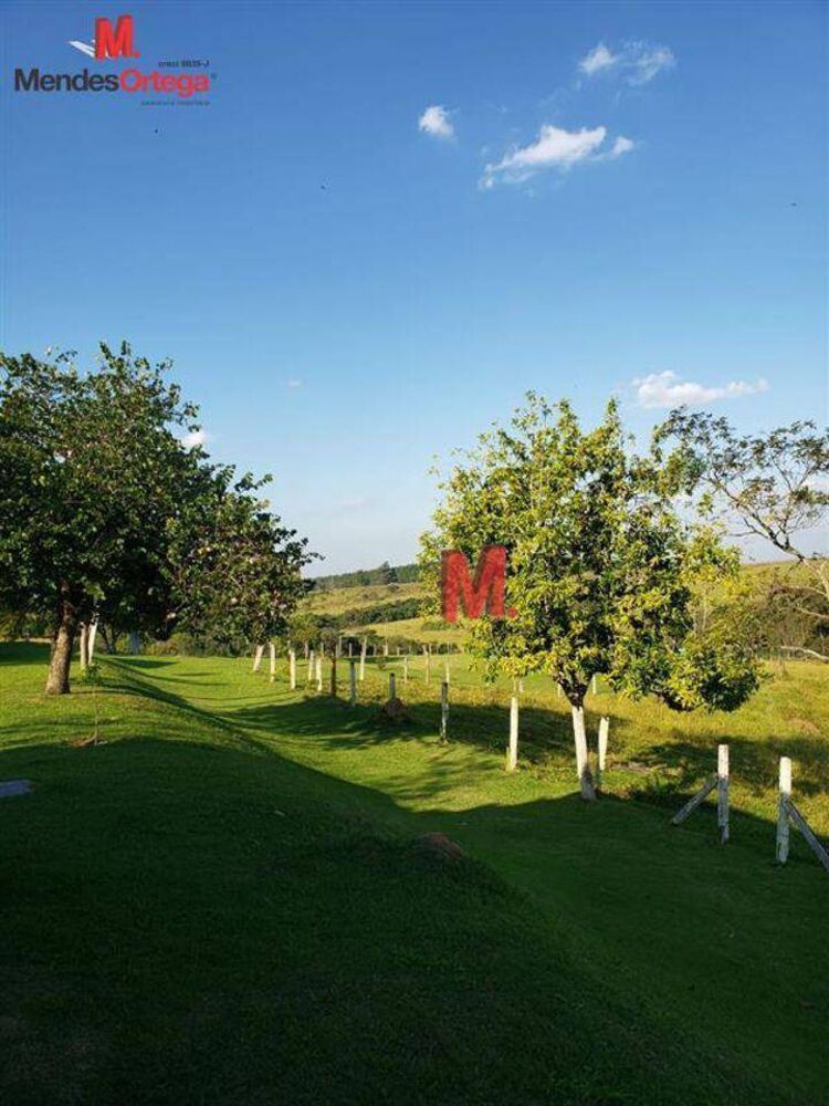 Chácara à venda com 3 quartos, 386000m² - Foto 3