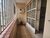 Casa, 2 quartos, 153 m² - Foto 1