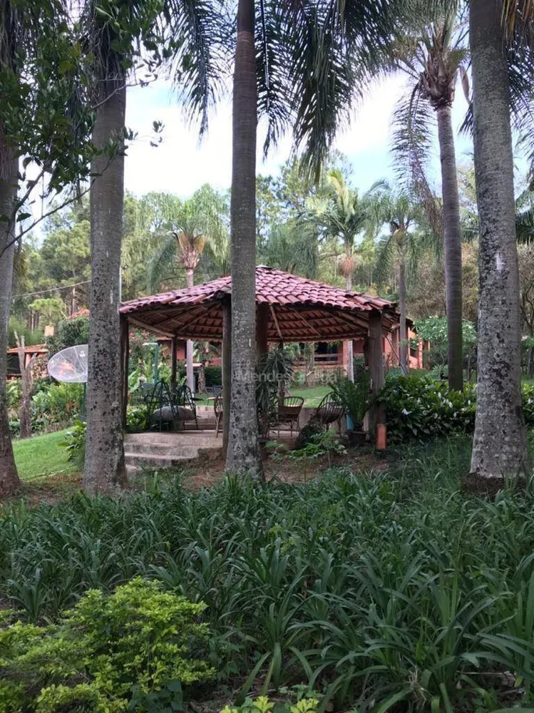 Chácara, 5 quartos, 3 hectares - Foto 16