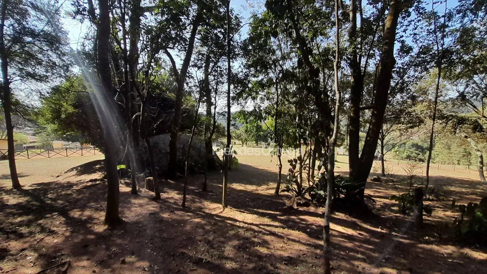 Terreno, 3 hectares - Foto 3