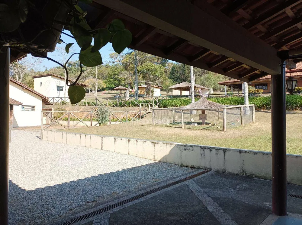Terreno, 3 hectares - Foto 11