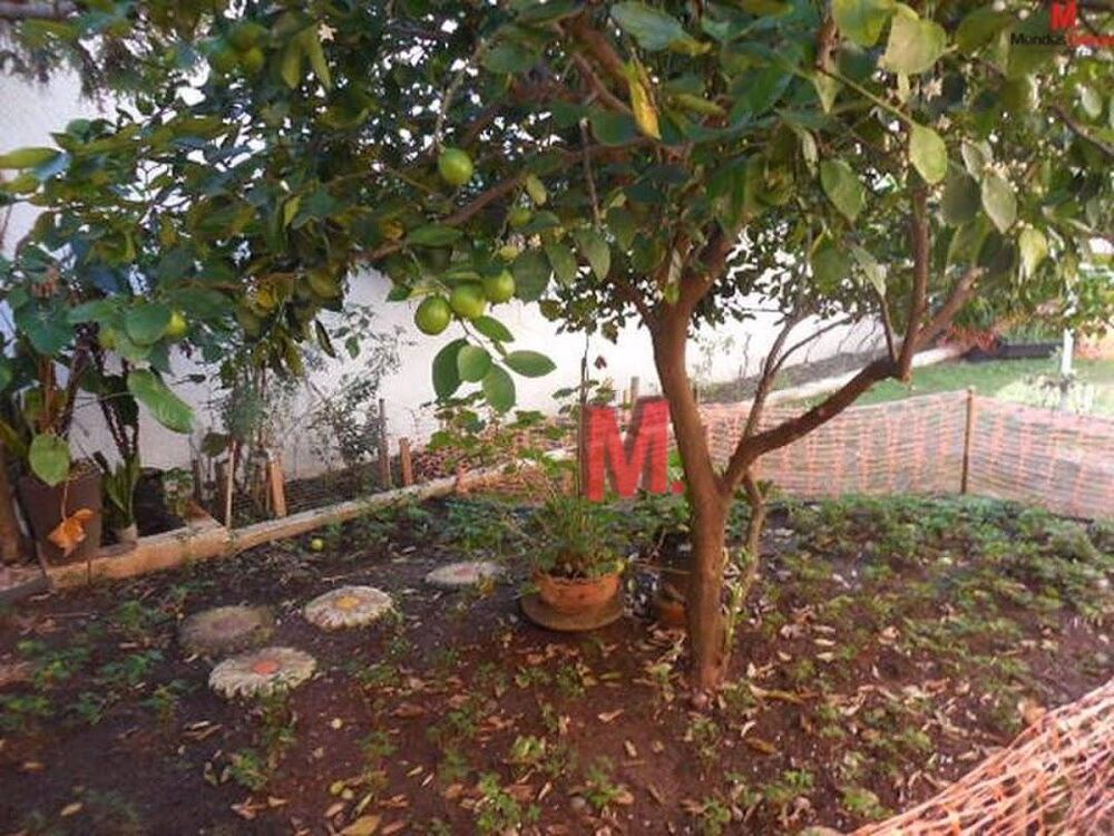 Casa, 4 quartos, 317 m² - Foto 9