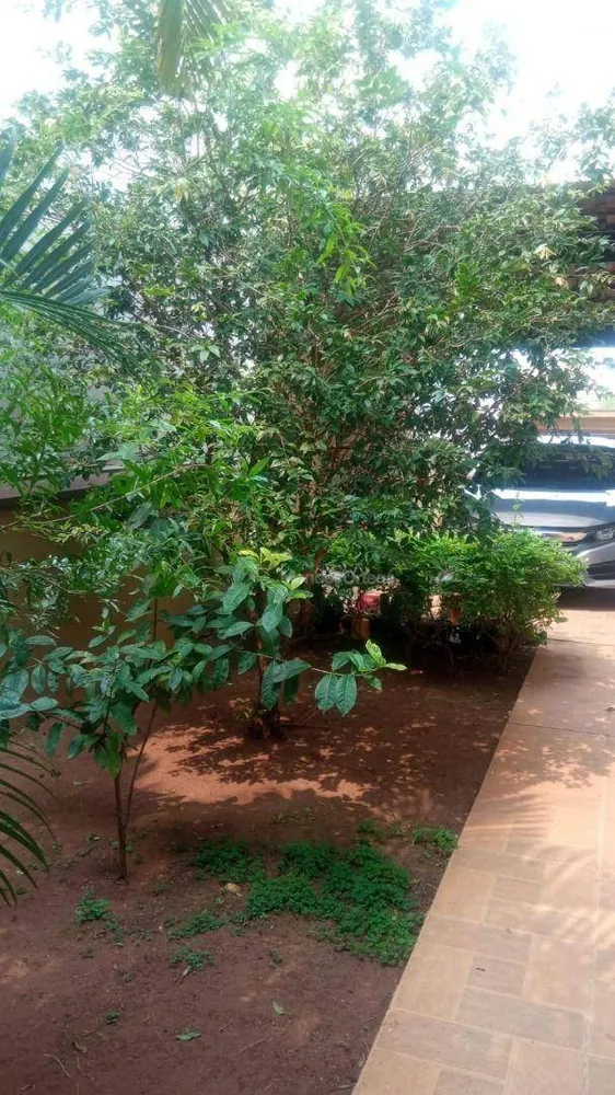Casa, 4 quartos, 260 m² - Foto 13