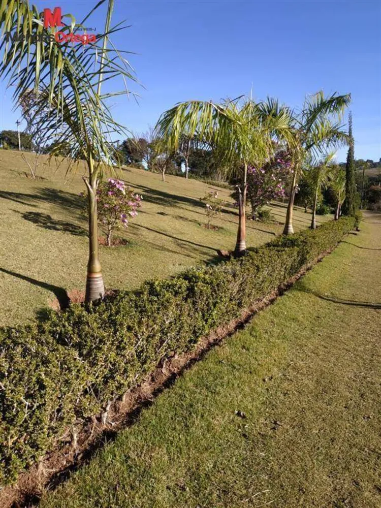 Chácara, 4 quartos, 2100 m² - Foto 2