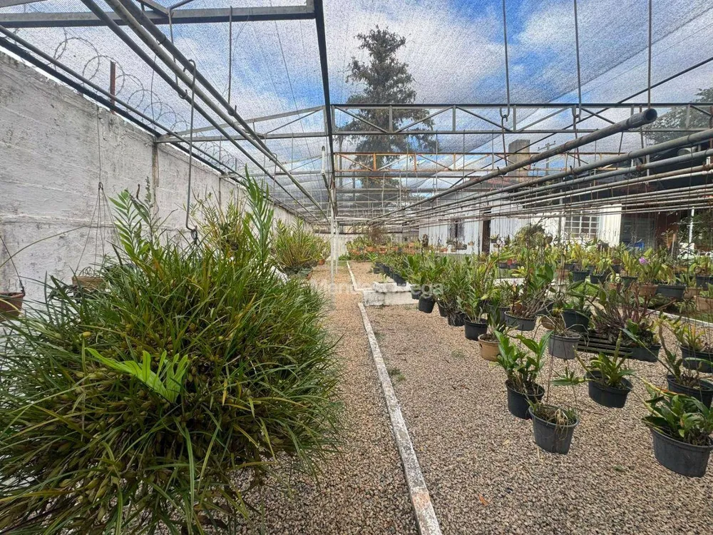 Terreno, 2396 m² - Foto 13