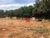 Terreno, 1900 m² - Foto 4