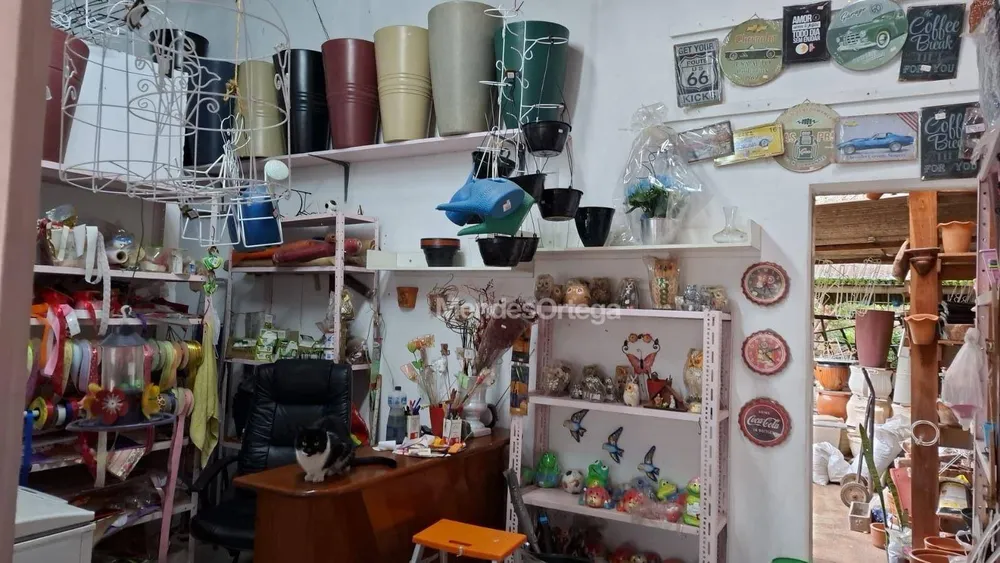 Loja-Salão, 50 m² - Foto 3