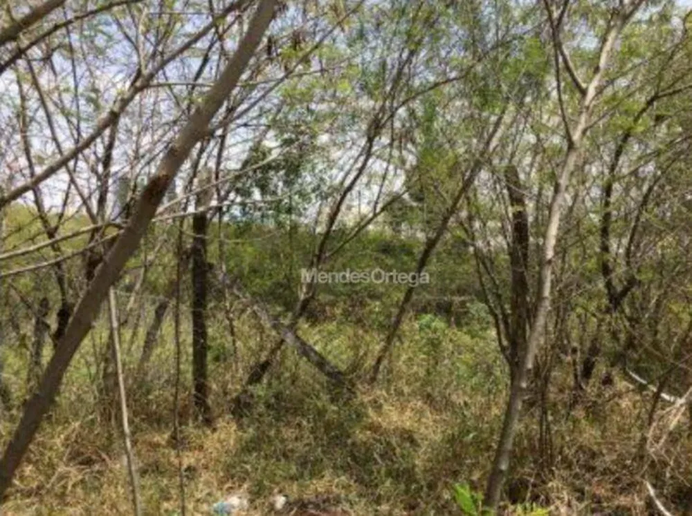 Terreno, 2 hectares - Foto 2