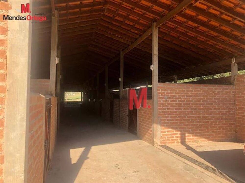 Sítio, 4 quartos, 5 hectares - Foto 3