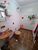Casa, 3 quartos, 149 m² - Foto 1