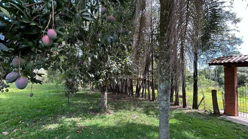 Chácara, 3 quartos, 5000 m² - Foto 3