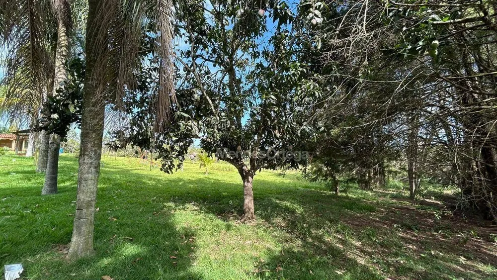 Chácara, 3 quartos, 5000 m² - Foto 2