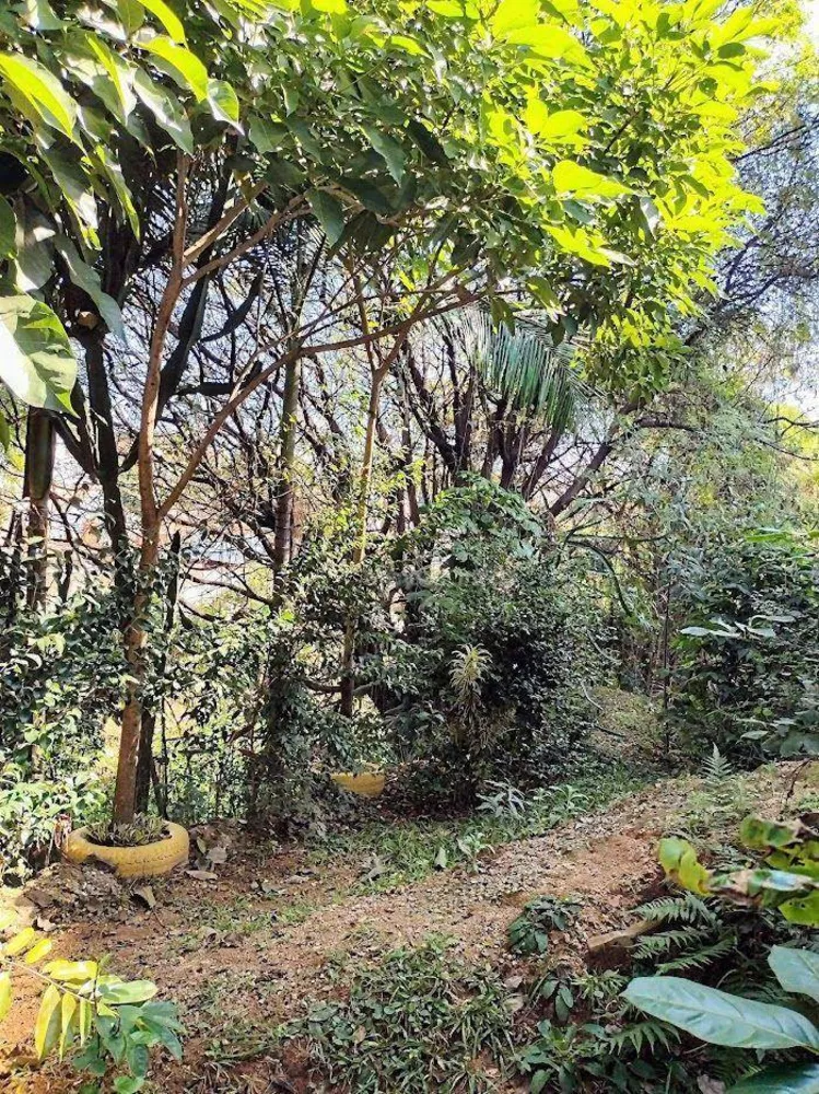 Casa, 4 quartos, 430 m² - Foto 32