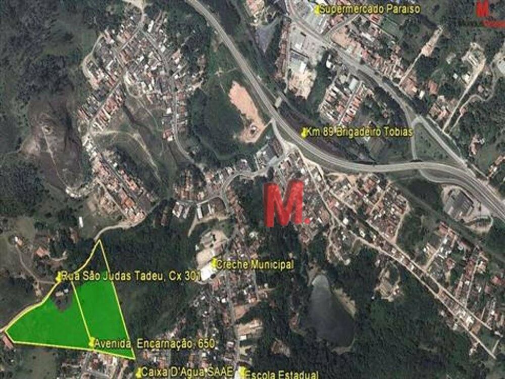 Terreno, 3 hectares - Foto 1