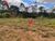 Terreno, 2000 m² - Foto 1