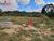 Terreno, 2000 m² - Foto 2