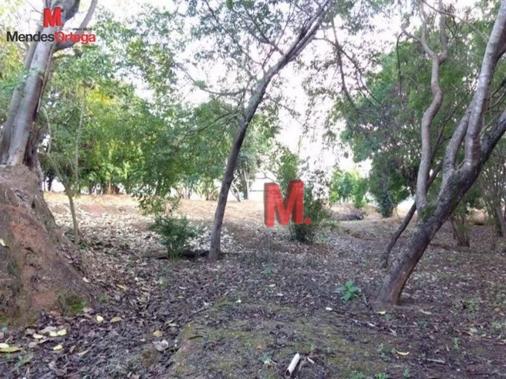 Terreno, 8776 m² - Foto 16