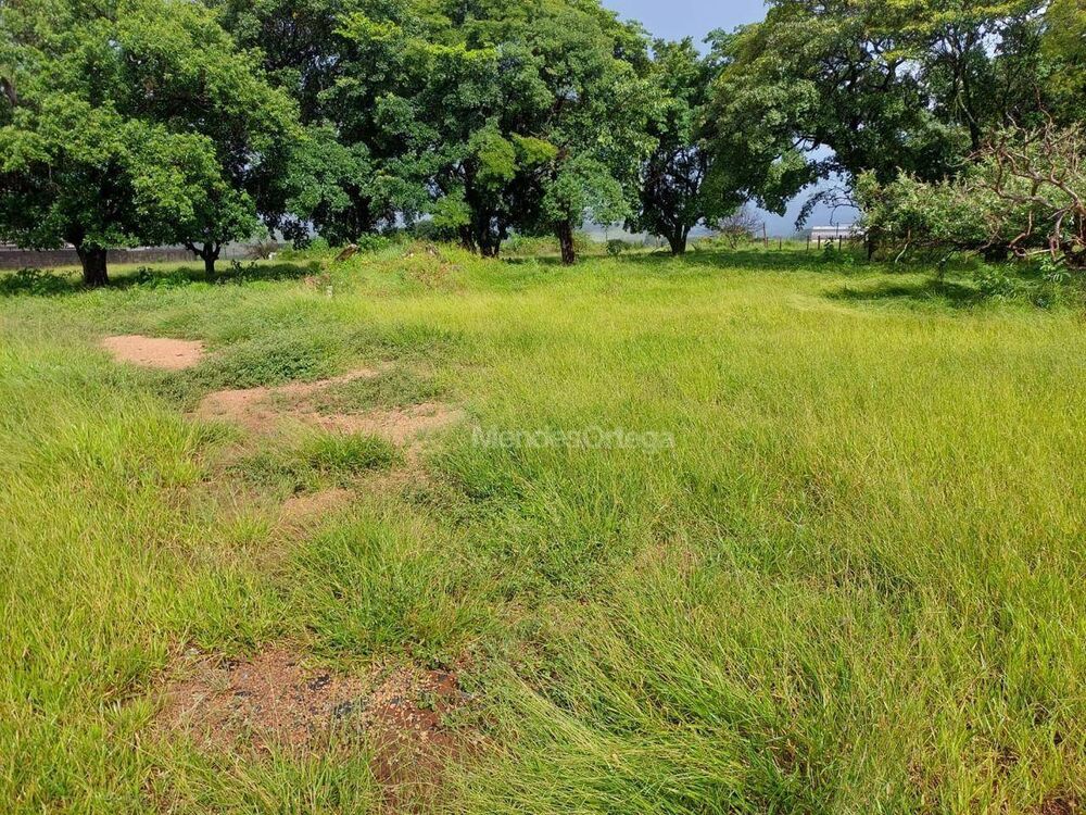 Terreno, 2 hectares - Foto 3