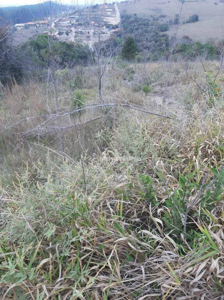 Terreno, 7000 m² - Foto 7