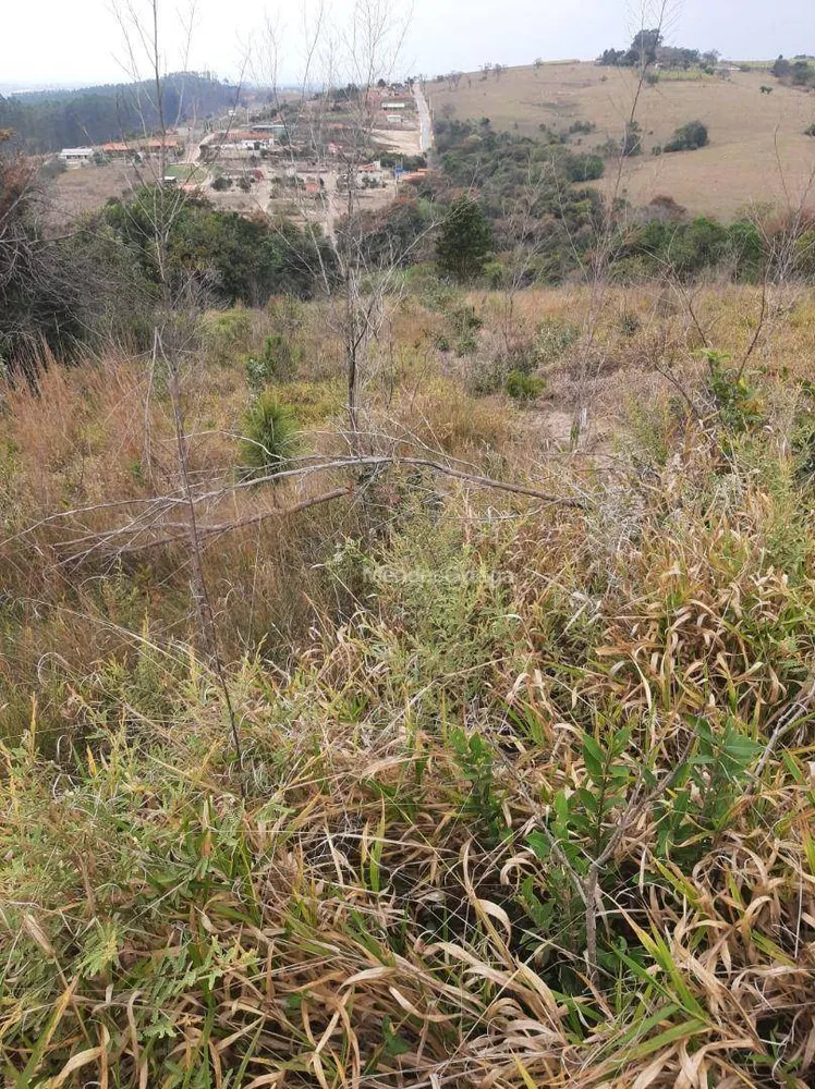 Terreno, 7000 m² - Foto 4