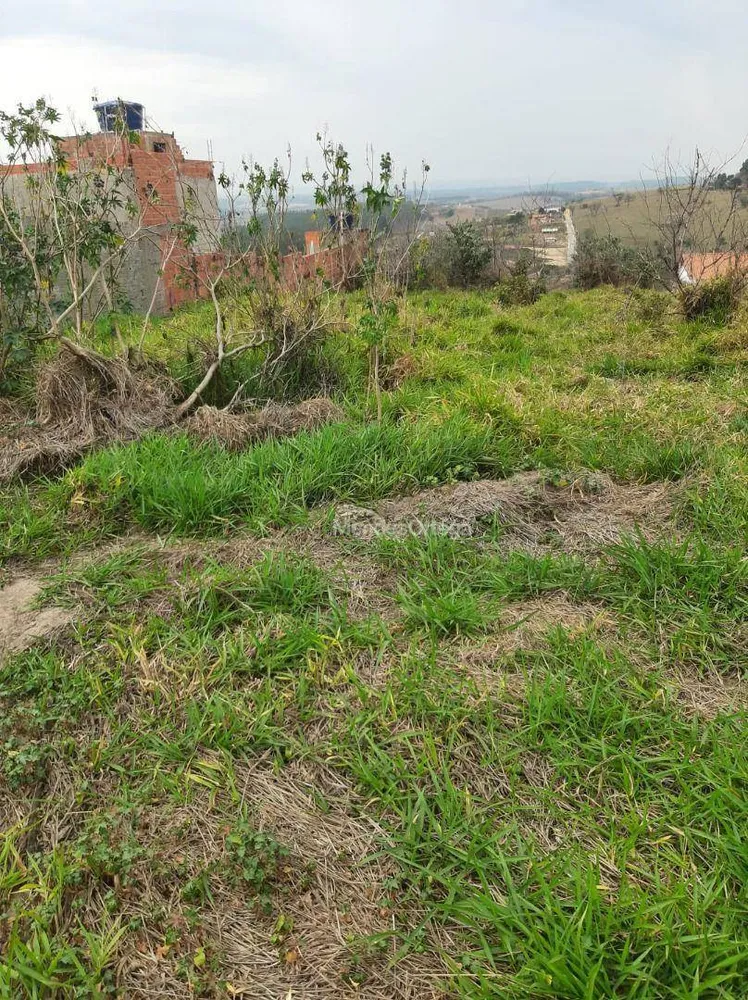 Terreno, 7000 m² - Foto 1