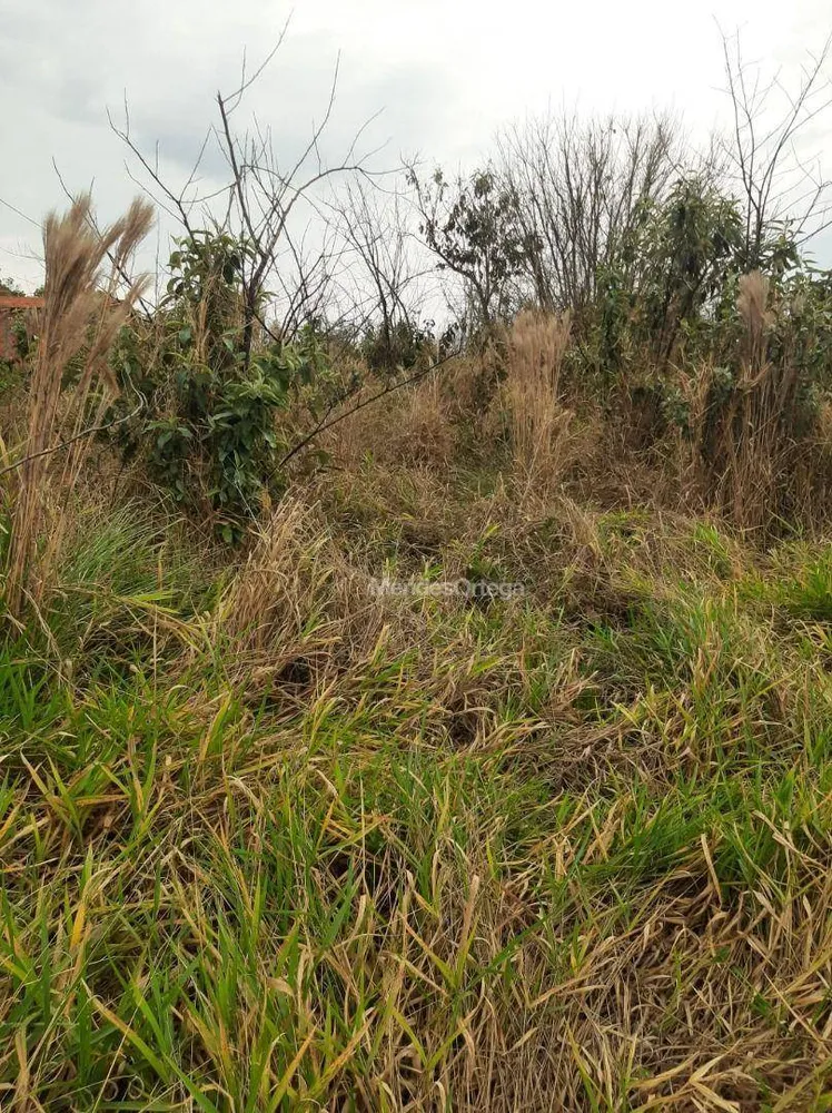 Terreno, 7000 m² - Foto 4
