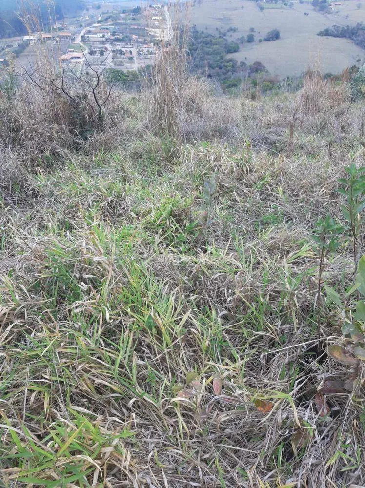 Terreno, 7000 m² - Foto 1