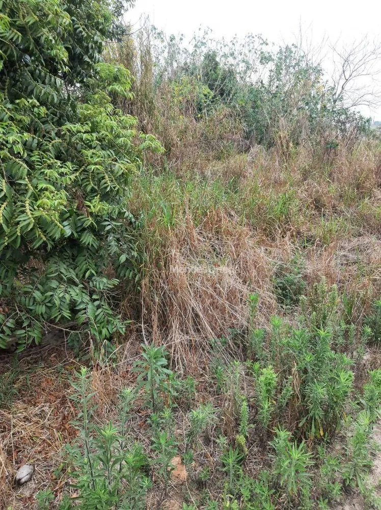 Terreno, 7000 m² - Foto 5