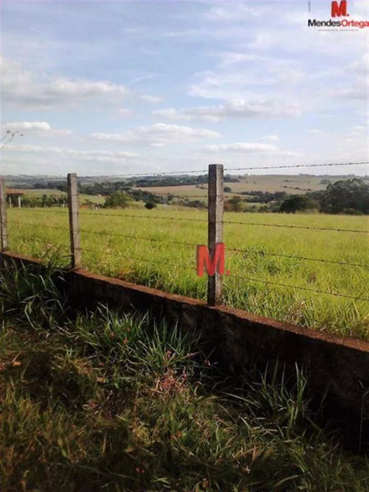Terreno, 2 hectares - Foto 17
