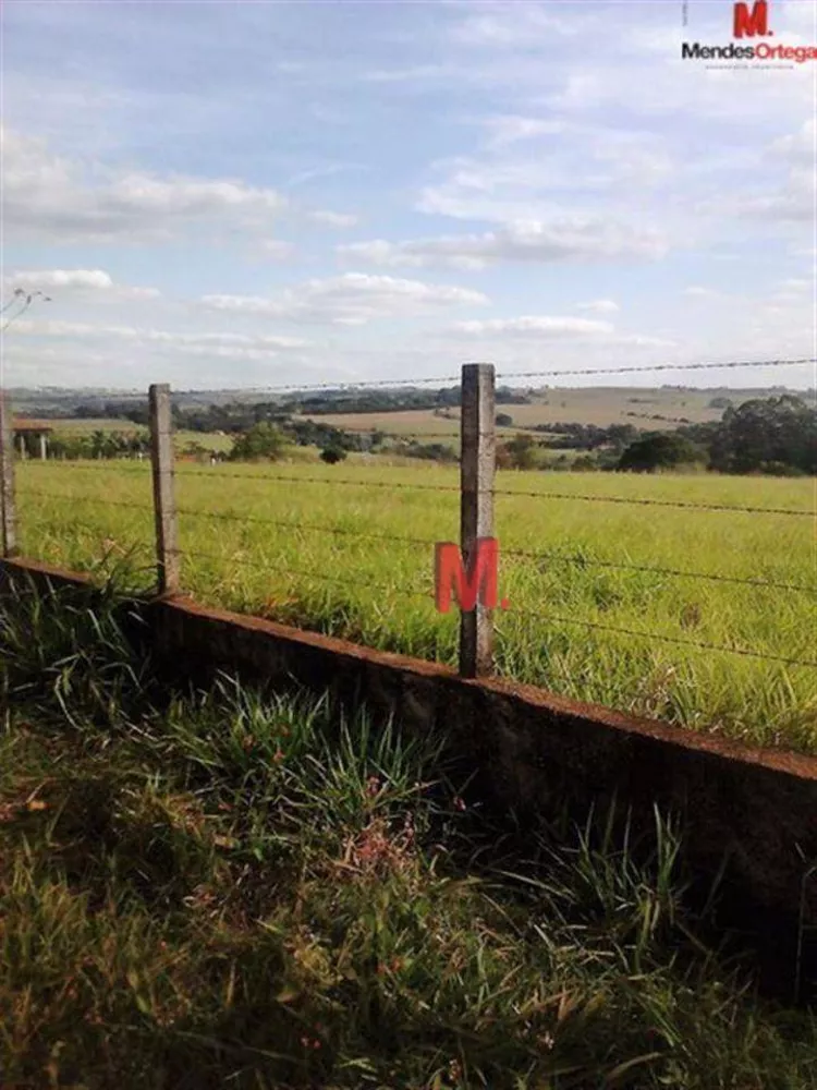 Terreno, 2 hectares - Foto 14