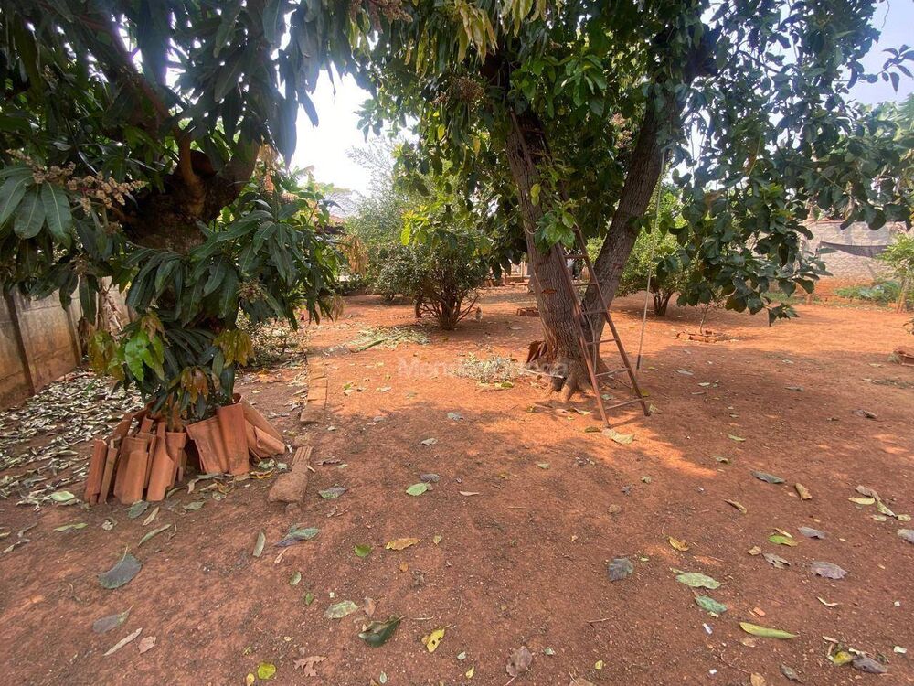 Chácara, 3 quartos, 1100 m² - Foto 2